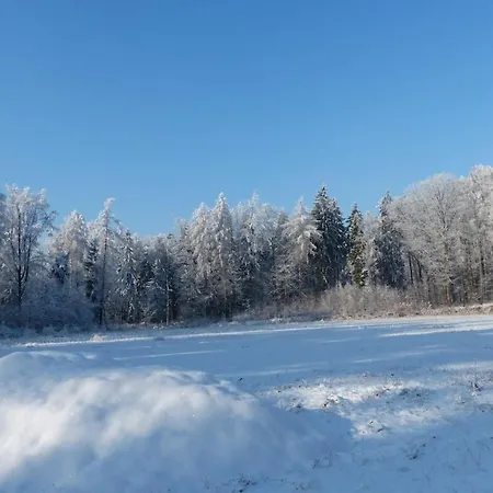 With 2 Bedrooms Kurort Hartha