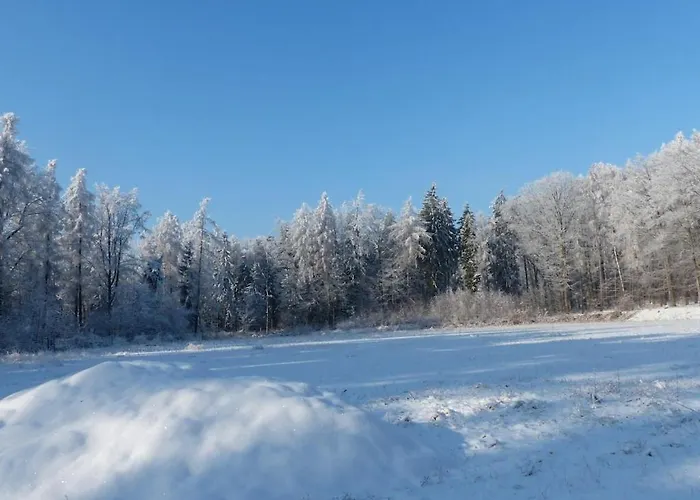 With 2 Bedrooms Kurort Hartha